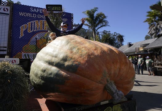 largest pumpkin in the us