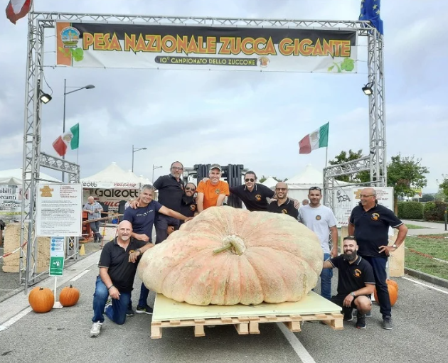 Italy’s annual Lo Zuccone (The Pumpkin) competition brought out stiff competition in September 2021. The winner, Stefano Cutrupi, grew the biggest one; clocking in at 2,703 pounds, the gourd is said to be the world’s biggest pumpkin.
